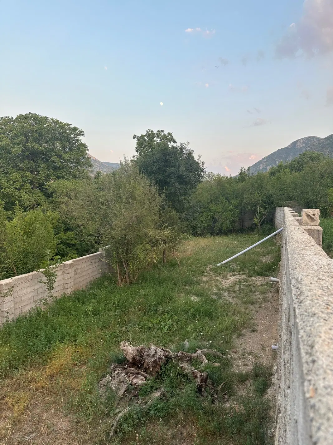 فروش باغچه