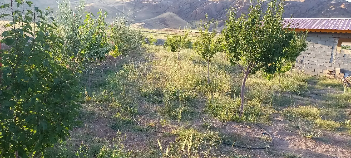 فروش باغ در یام