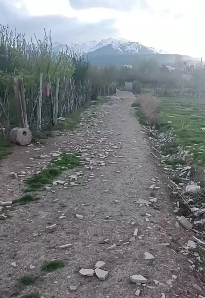 باغچه نقلی