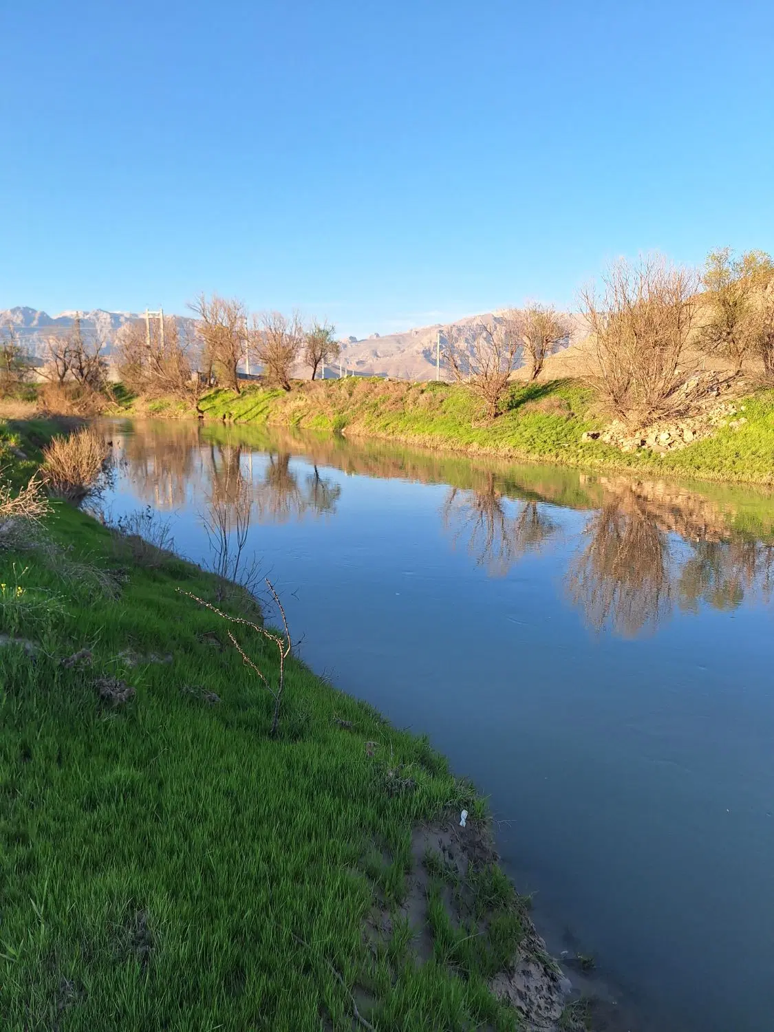 زمین مناسب باغ و کشاورزی
