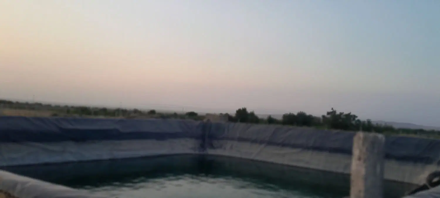 باغ انگور