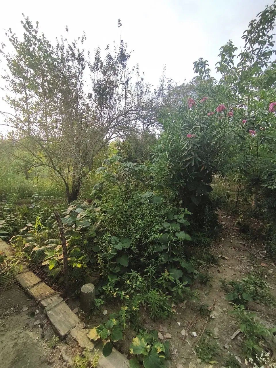 زمین وخانه
