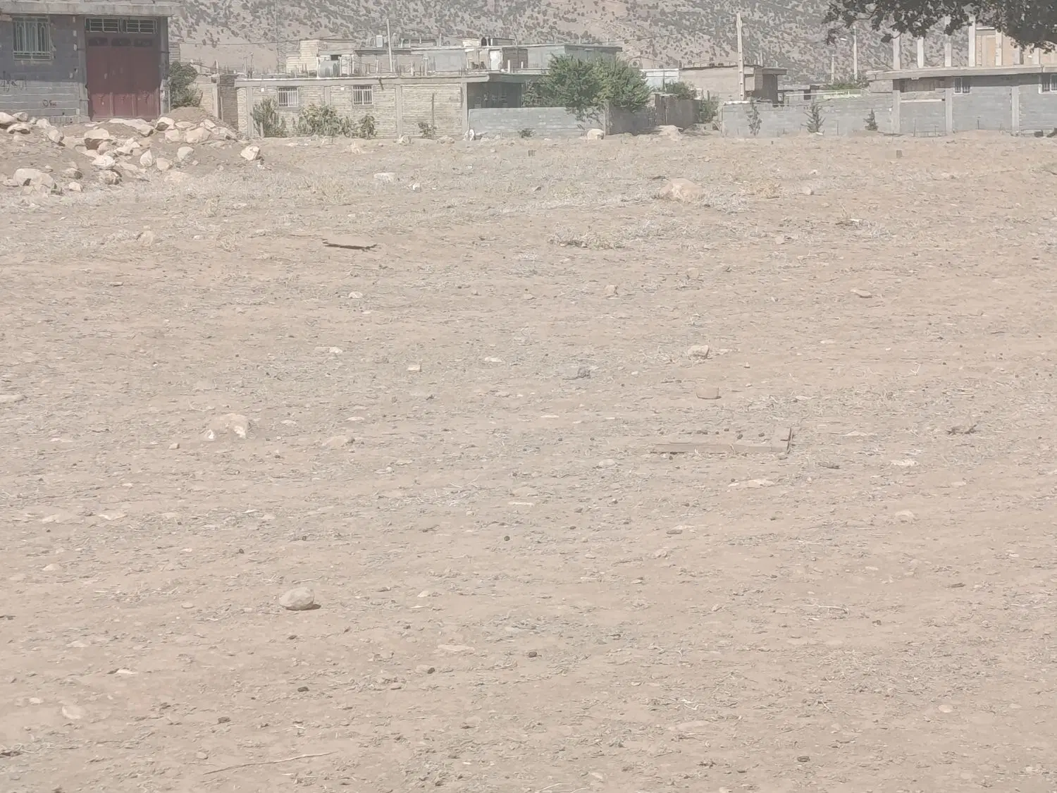 فروش زمین دهنو میلاس