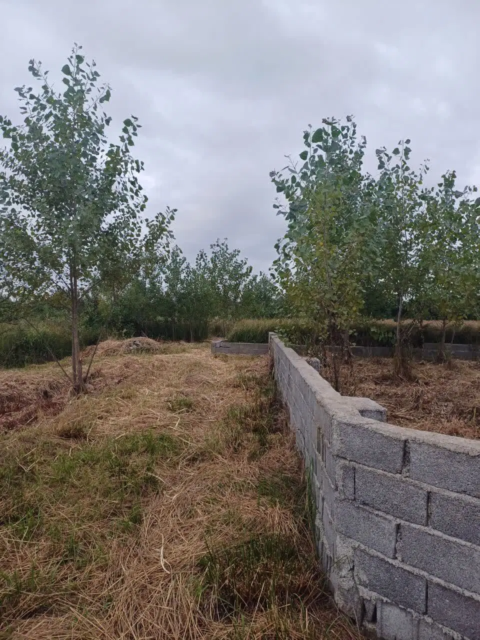 یک قطعه زمین