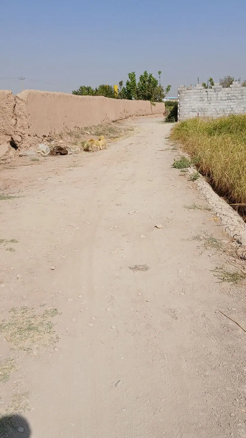فروش زمین کشاورزی