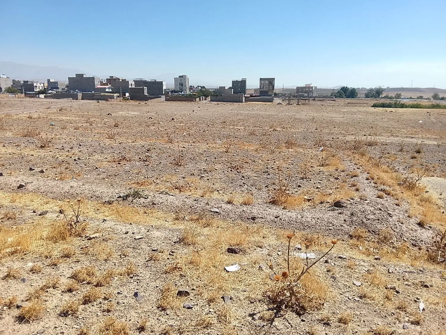 زمین شترک