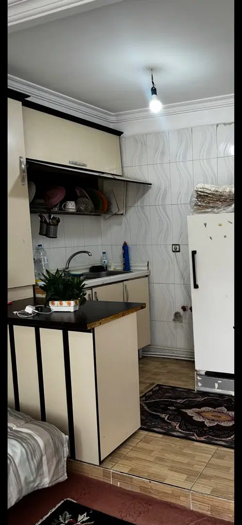 نیازمند همخانه خانم