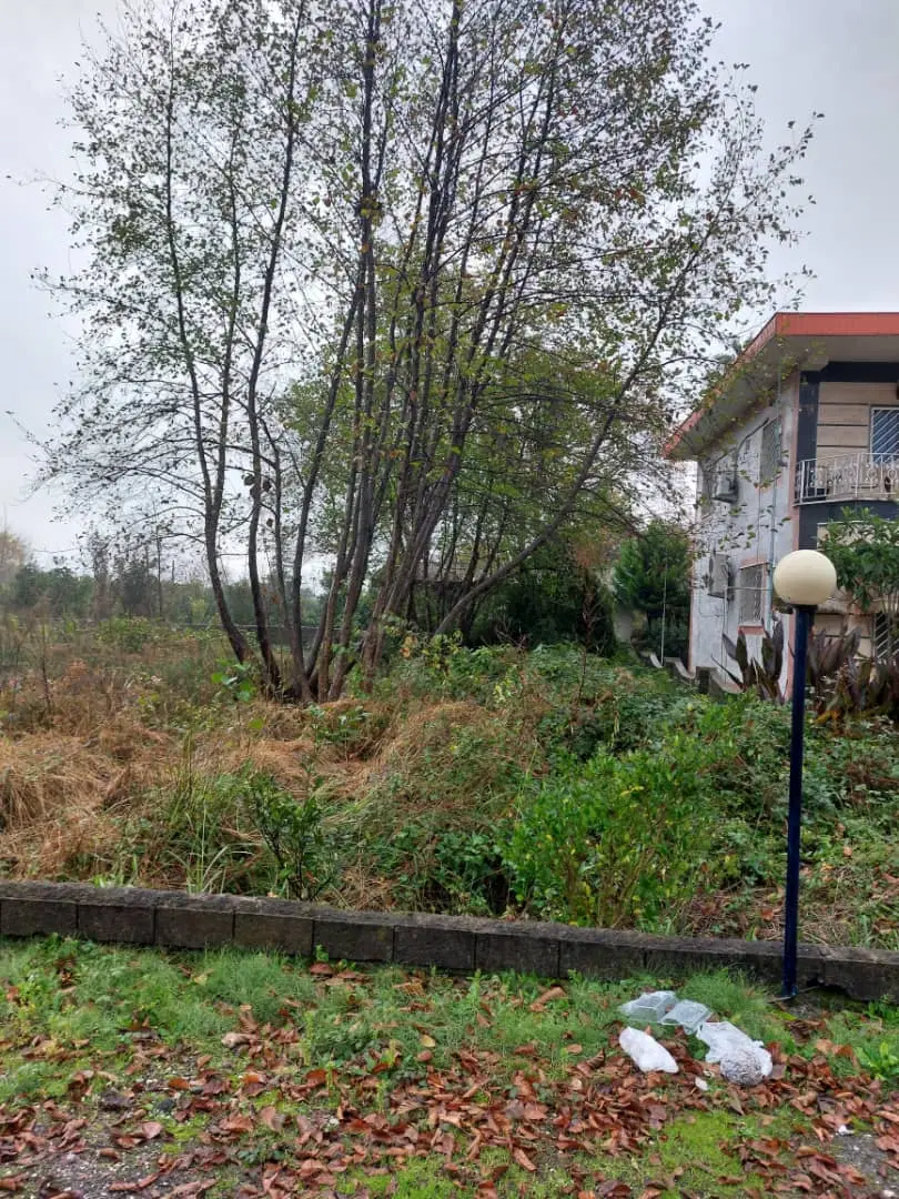 زمین باغات