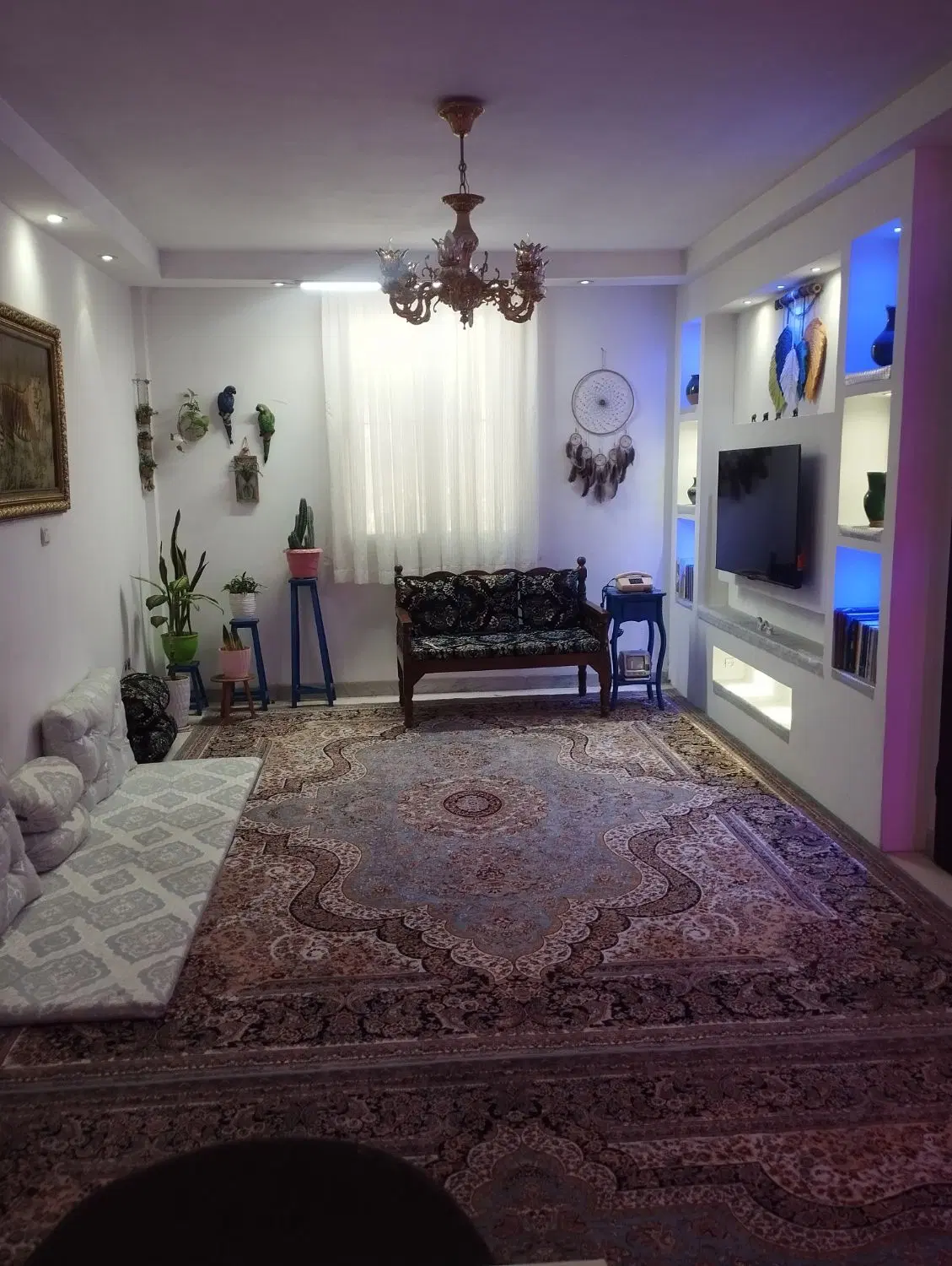 واحد ۵۰متری تک واحد