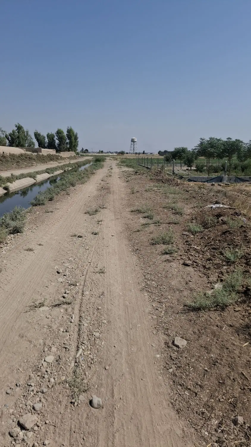 زمین کاربری باغی