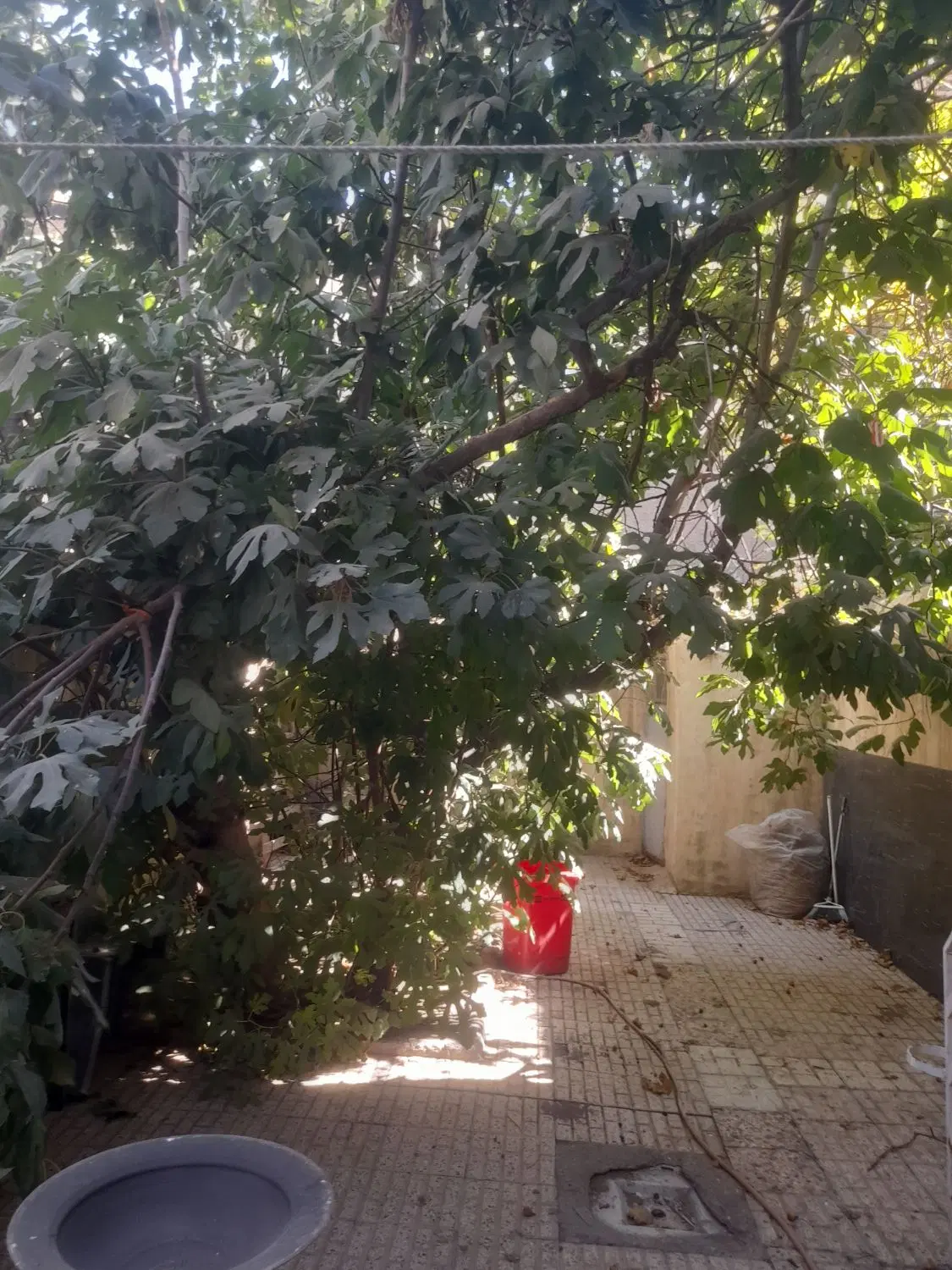 خانه ویلایی قدیمی‌ساز به قیمت آپارتمان