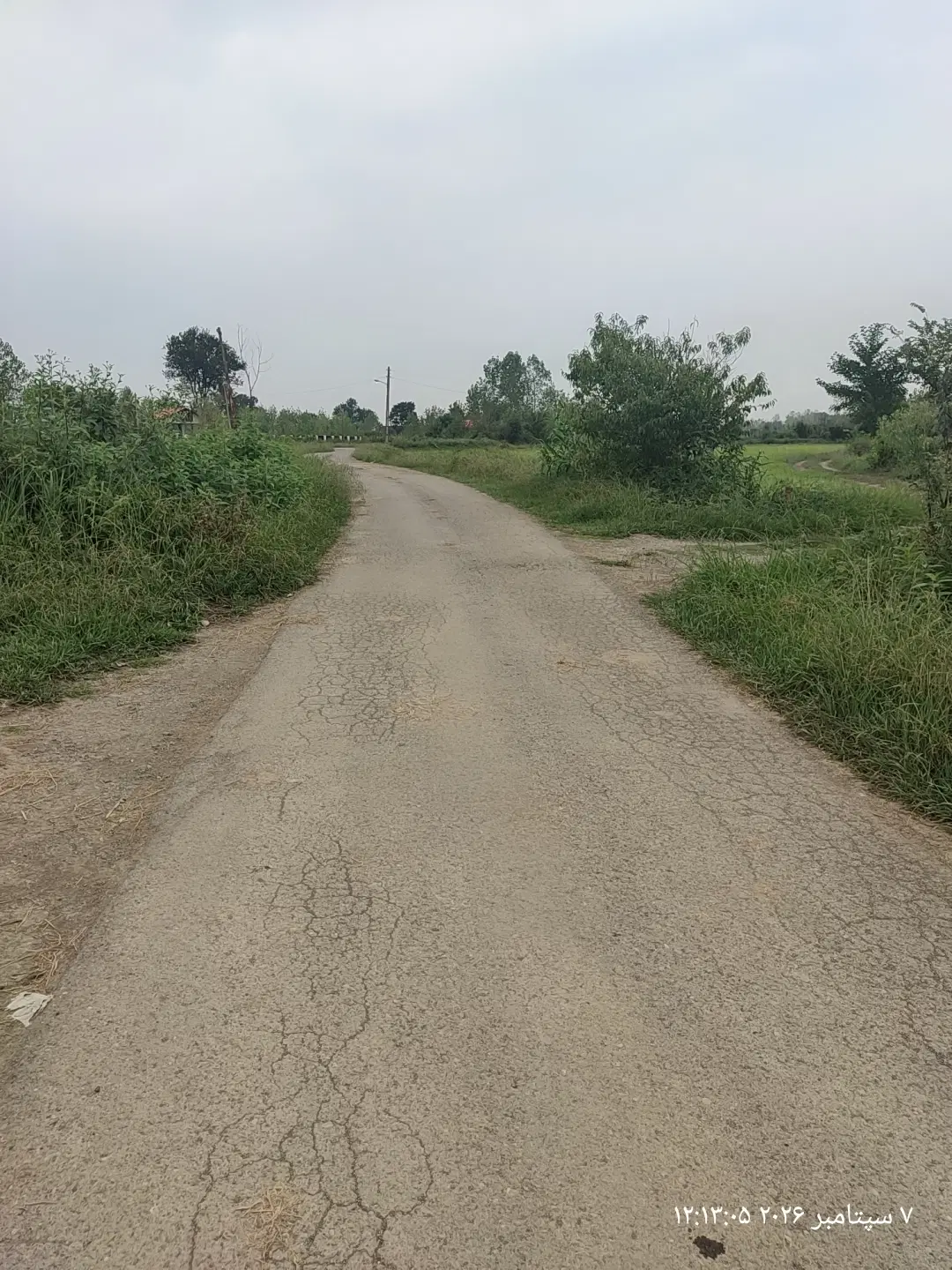 ۲۵۰متر زمین مسکونی براصلی