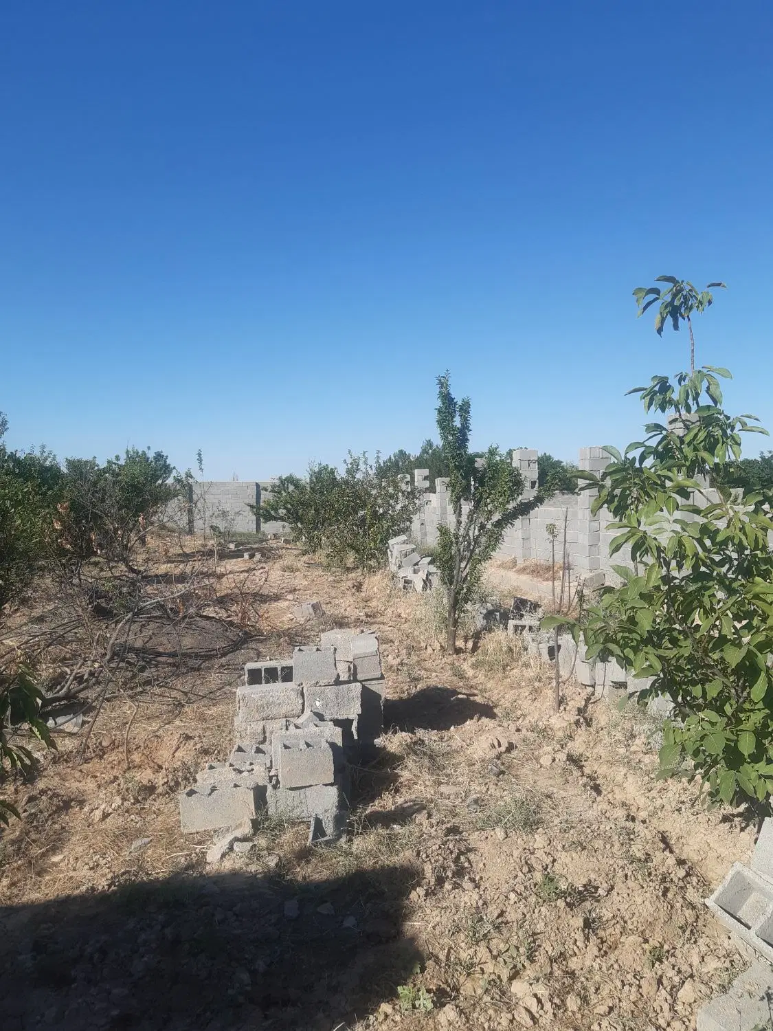 باغ دور دیوار داخل مجتمع