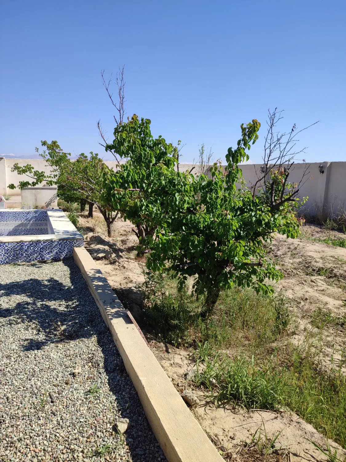 ۳۸۰ متر ۴دیواری دو کله روستای جیتو