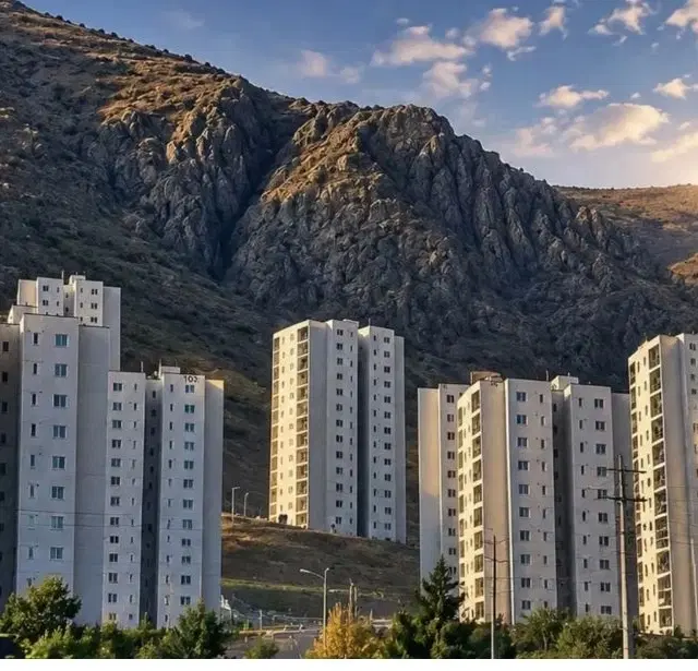 زیتون دی 14 پشت الهیه معاوضه هم داره