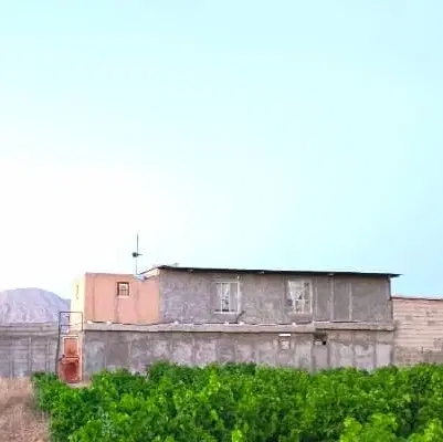 دامداری و کارگاه صنعتی