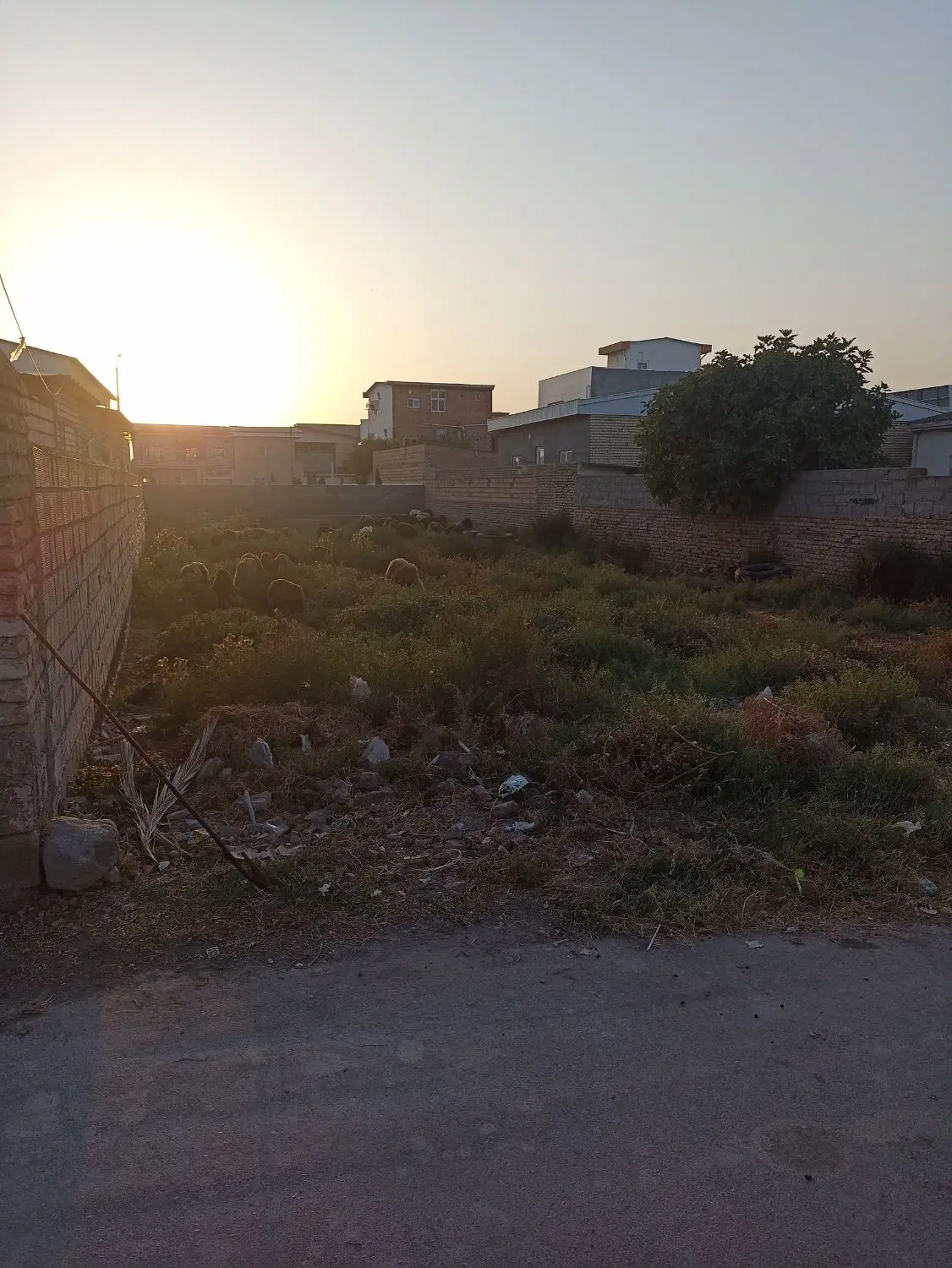 زمین مسکونی در عدالت