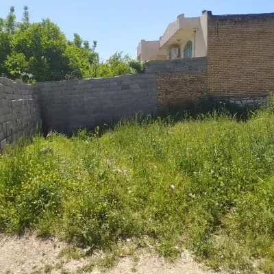زمین ۶۲متری باغ ابریشم