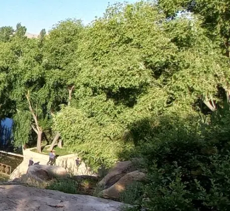 فروش زمین باغی در کاکان