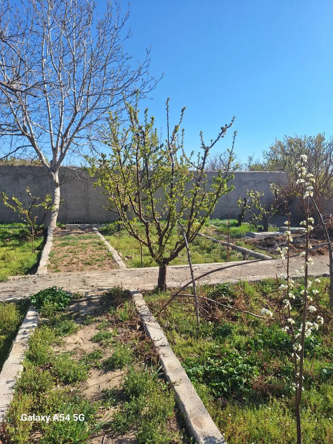 باغچه در شهریار