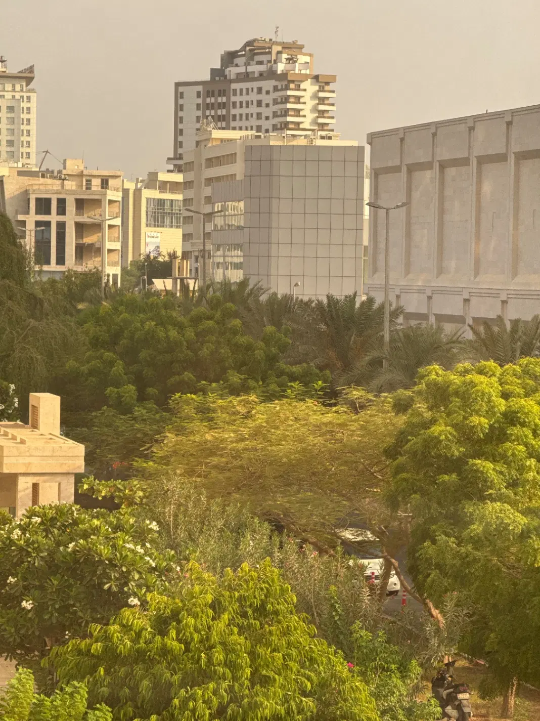 فروش ۴ واحد ۶۵ متری دوخواب رز ۲