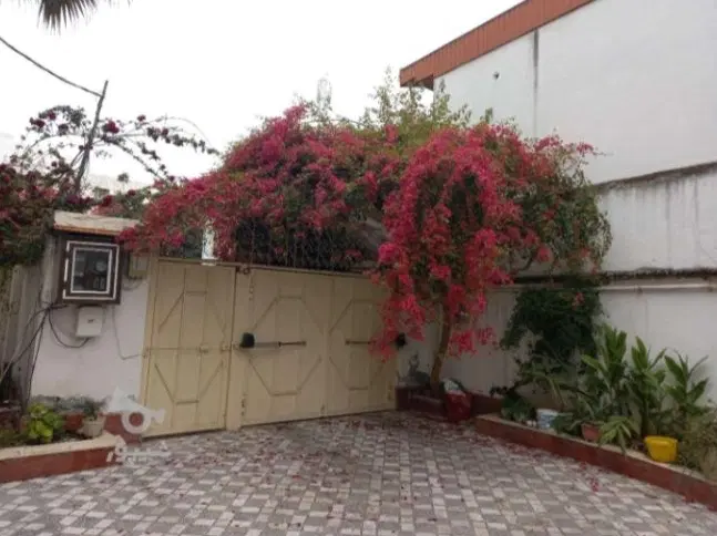 کلنگی (تهاتر با اپارتمان)
