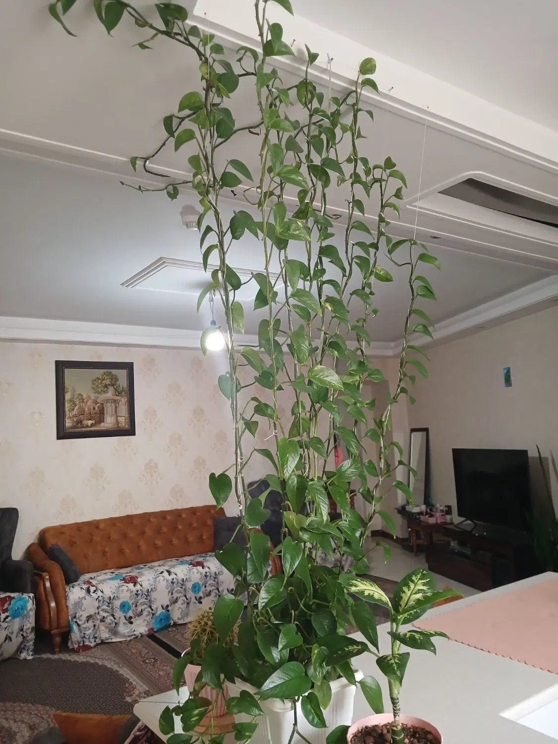 آپارتمان ۹۵ متری
