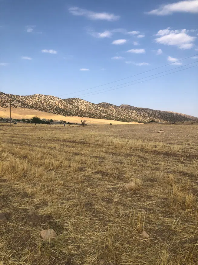 زمین فروشی روستای تنگ شوهان