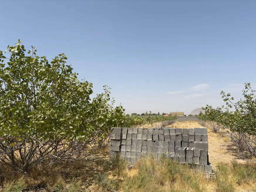 فروش زمین باغ در سروستان