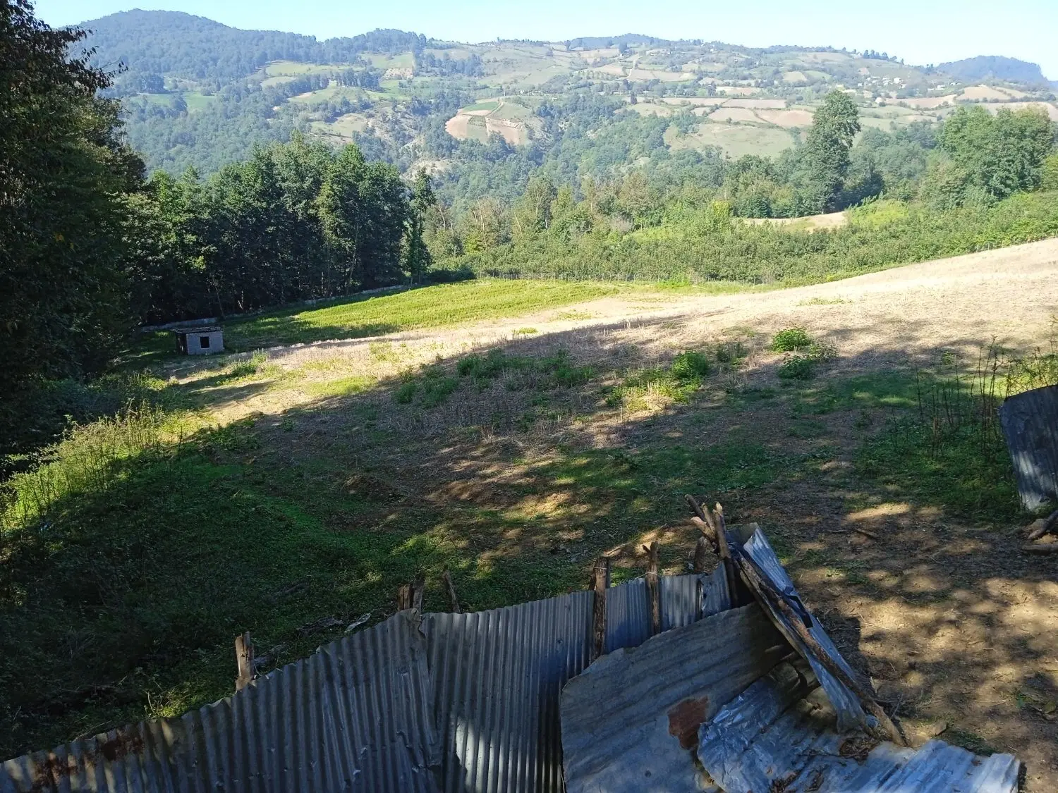زمین کشاورزی روستای یعقوب محله نکا