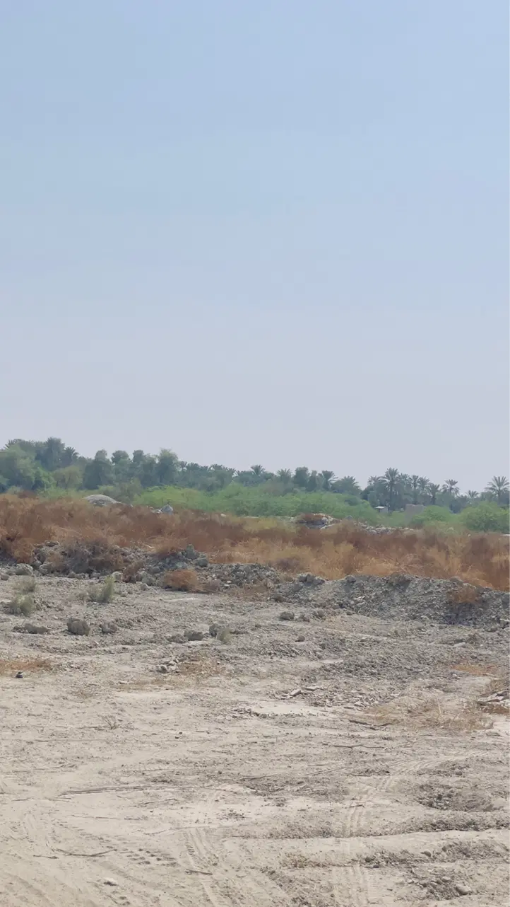 فروش زمین مسکونی پلاک دو در بلوار ابن سینا