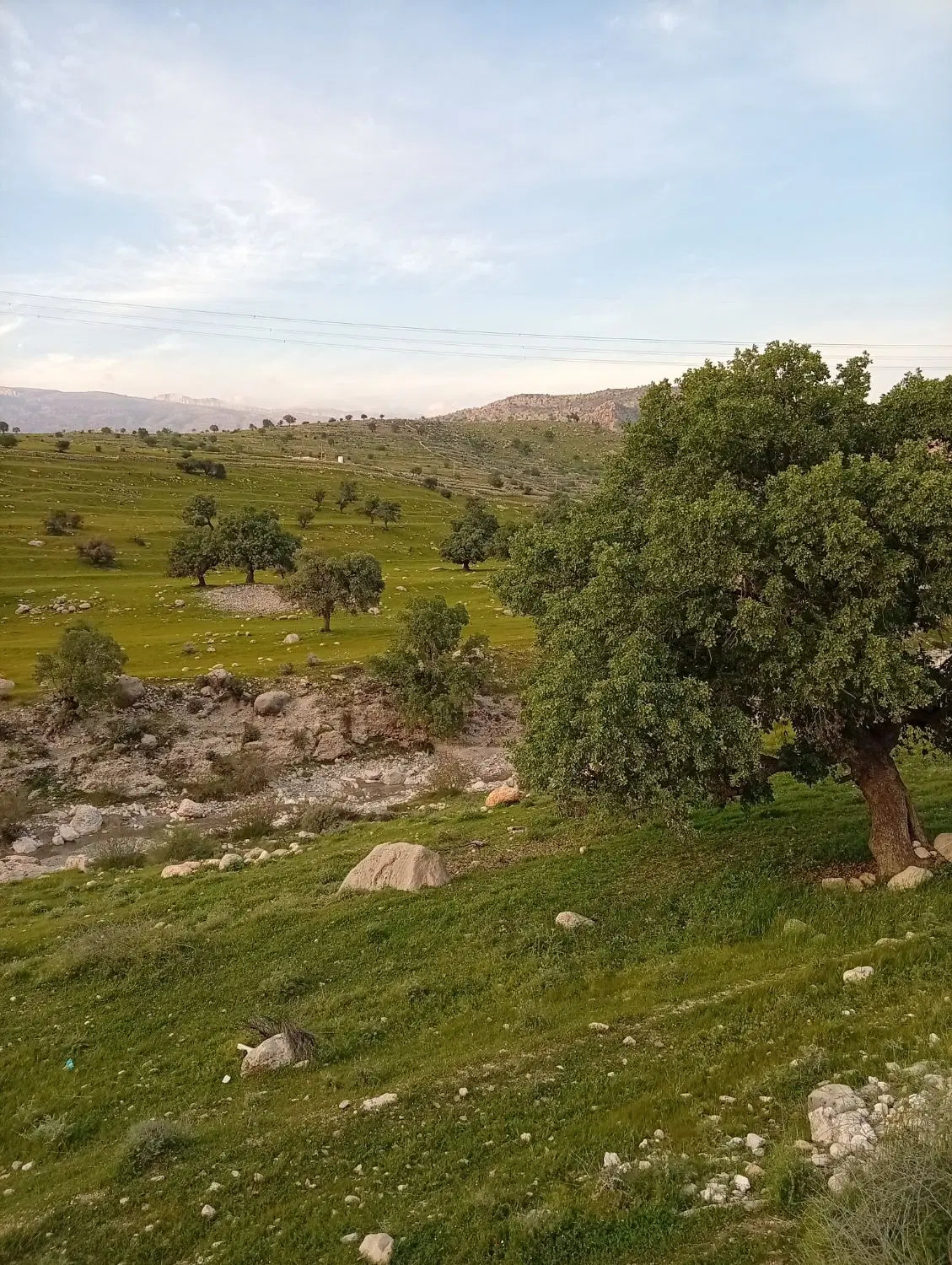 فروش منزل ویلایی