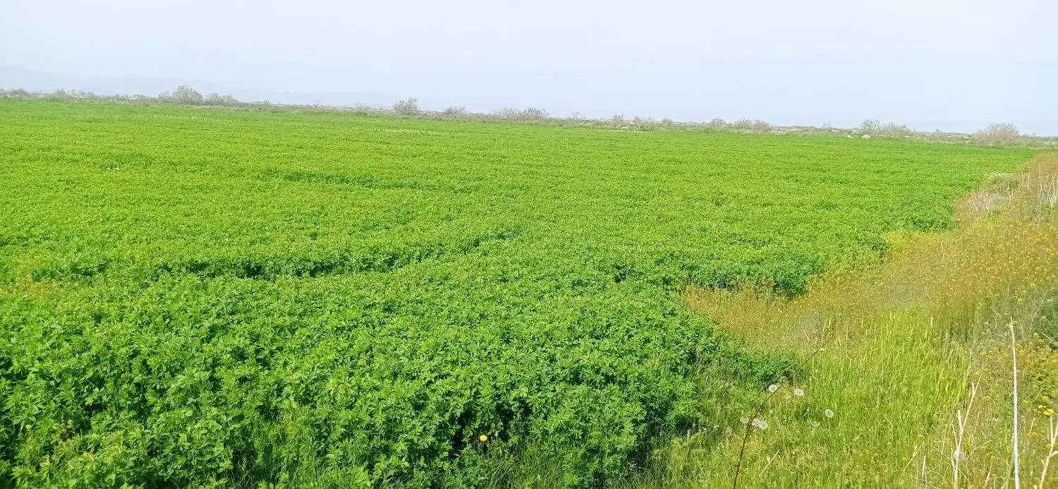 اجاره ده ساله زمین کشاورزی جهت هر نوع کشت