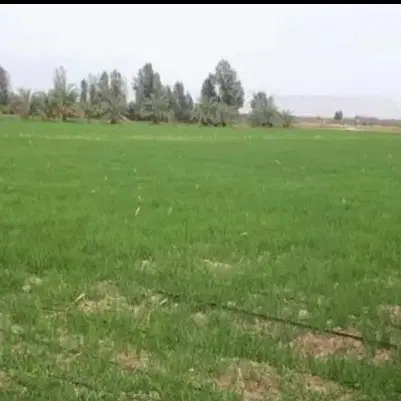 زمین در مسیر گردشگری آبگرم روستای آقبلاغ