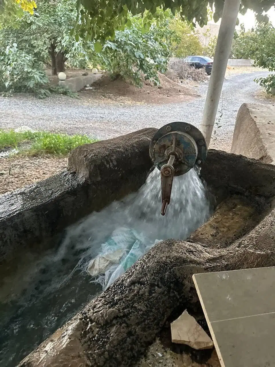 فروش باغ