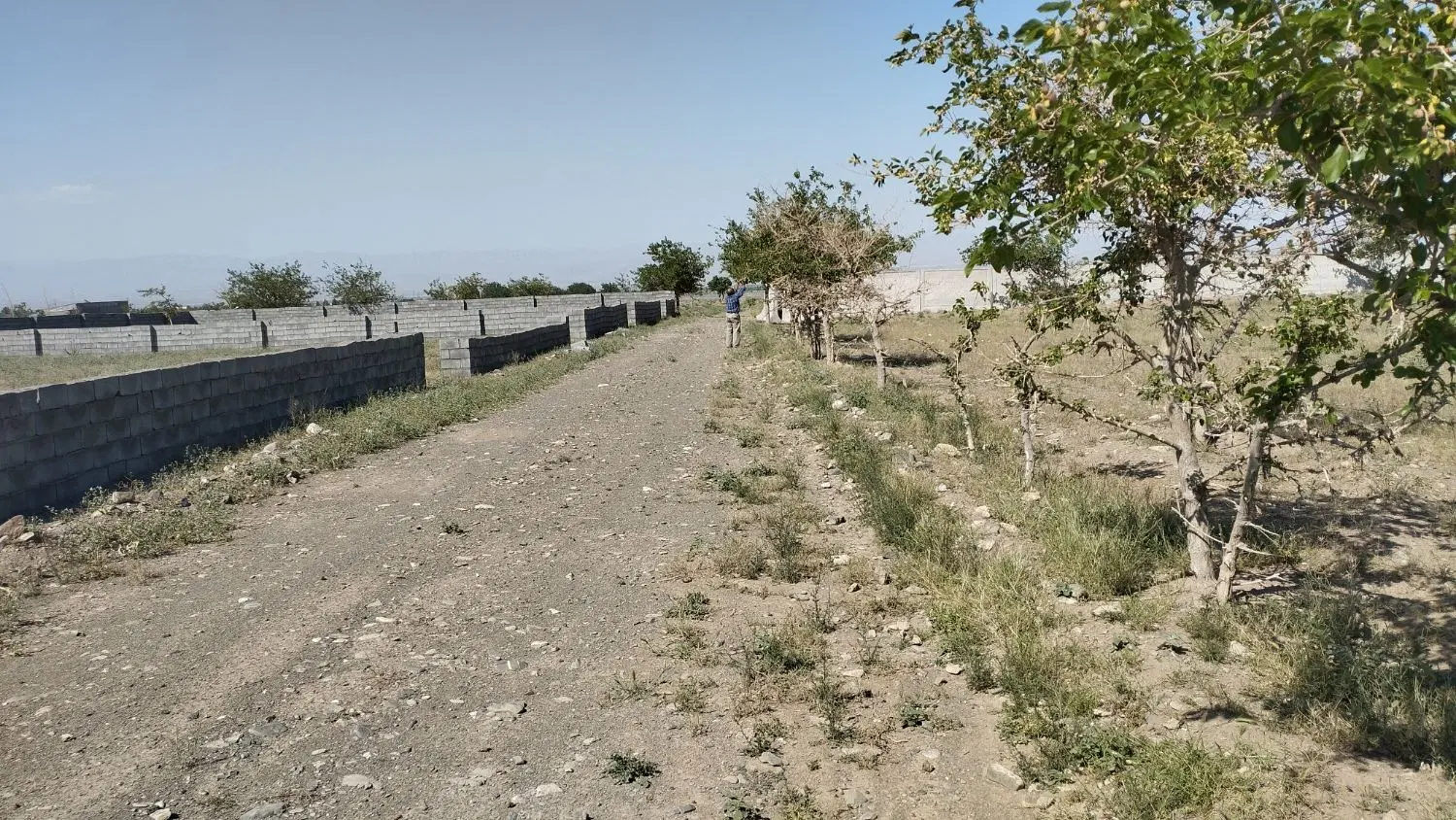 زمین ویلایی سوران فرح اباد