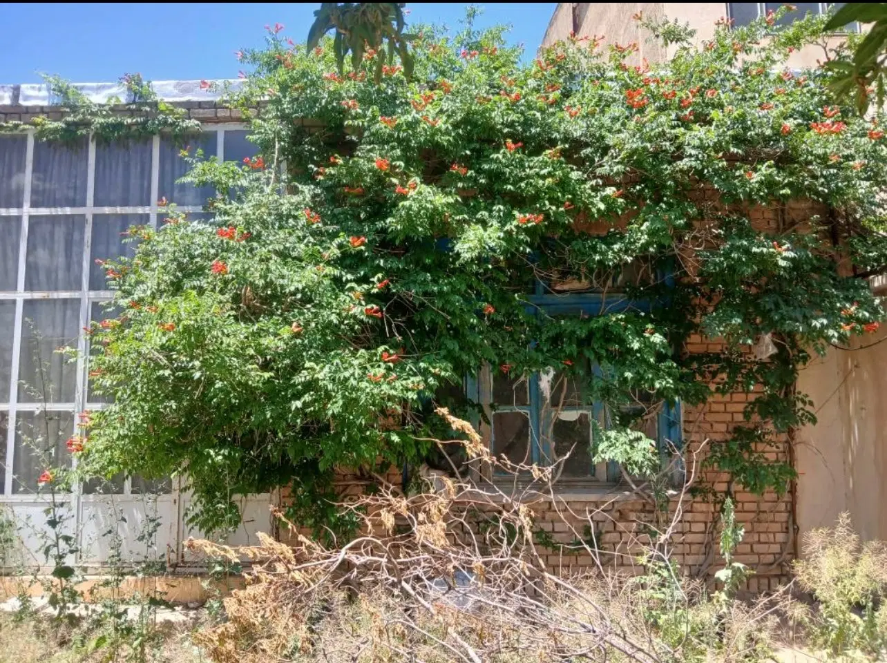 فروش ملک کلنگی با موقعیت تجاری و مسکونی