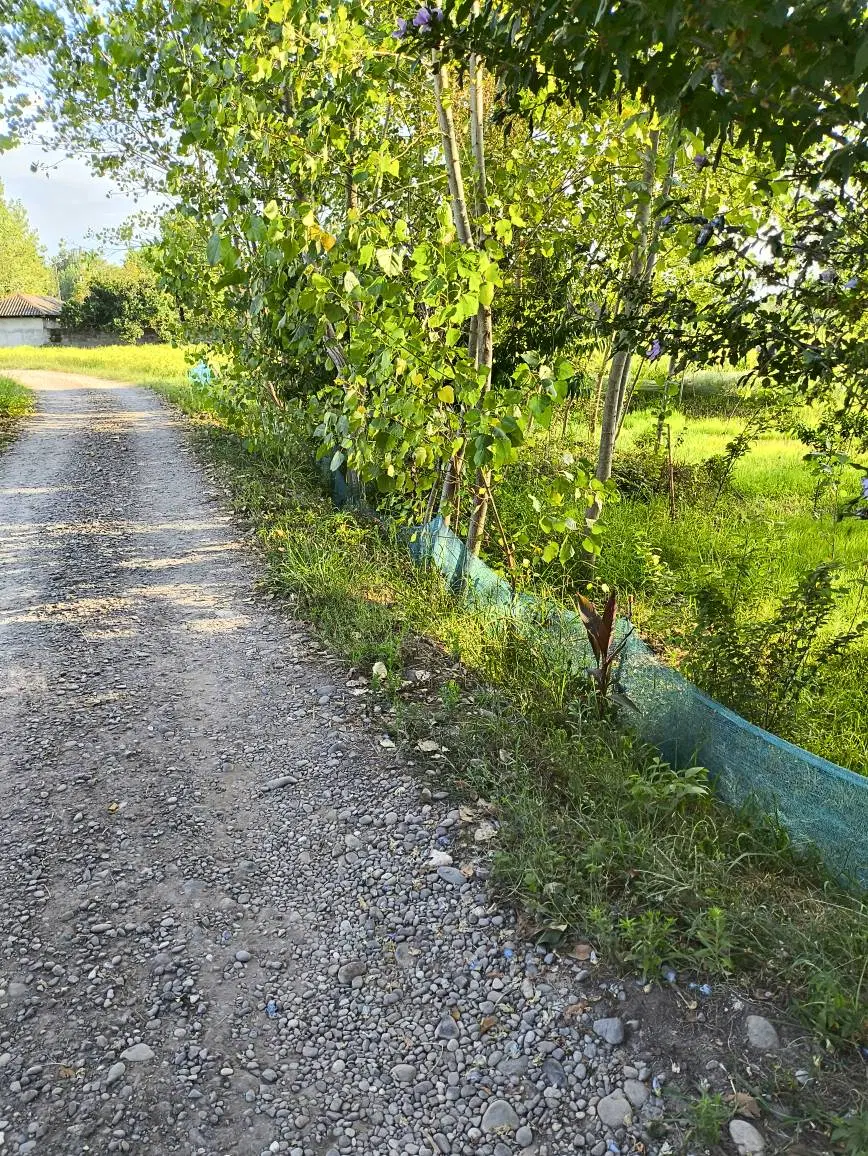 زمین  باغی روستایی