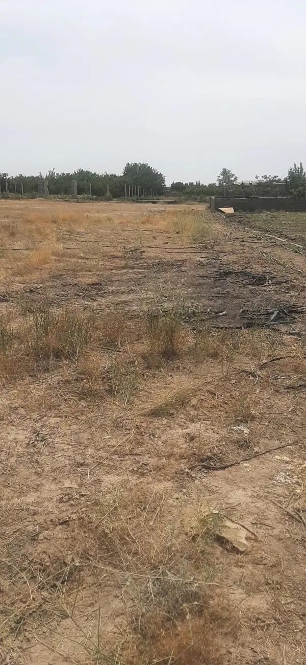 یک هکتار زمین مناسب
