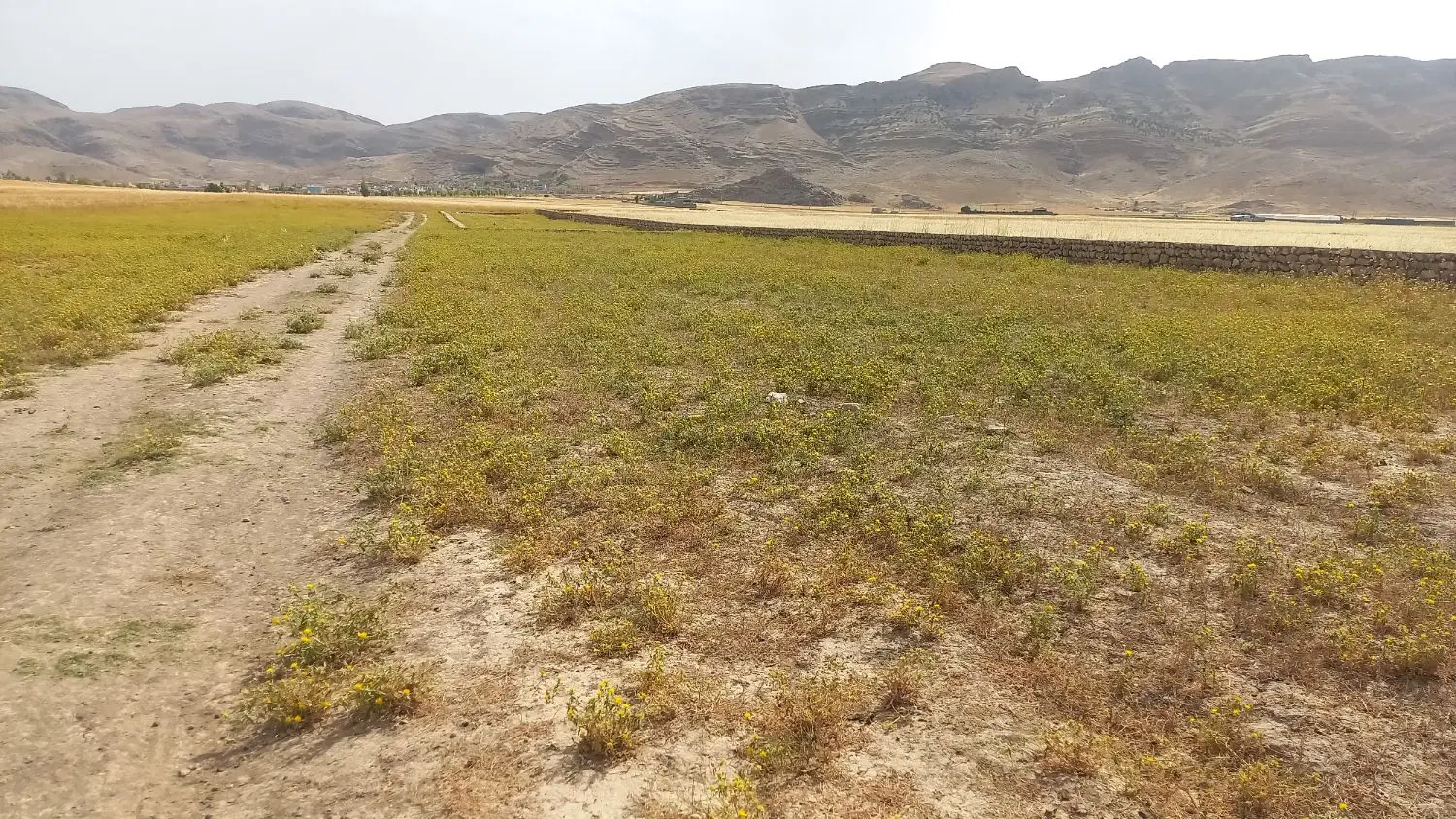 معاوضه زمین با پارس یا ۲۰۶