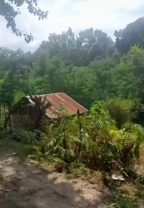 زمین 2300متری