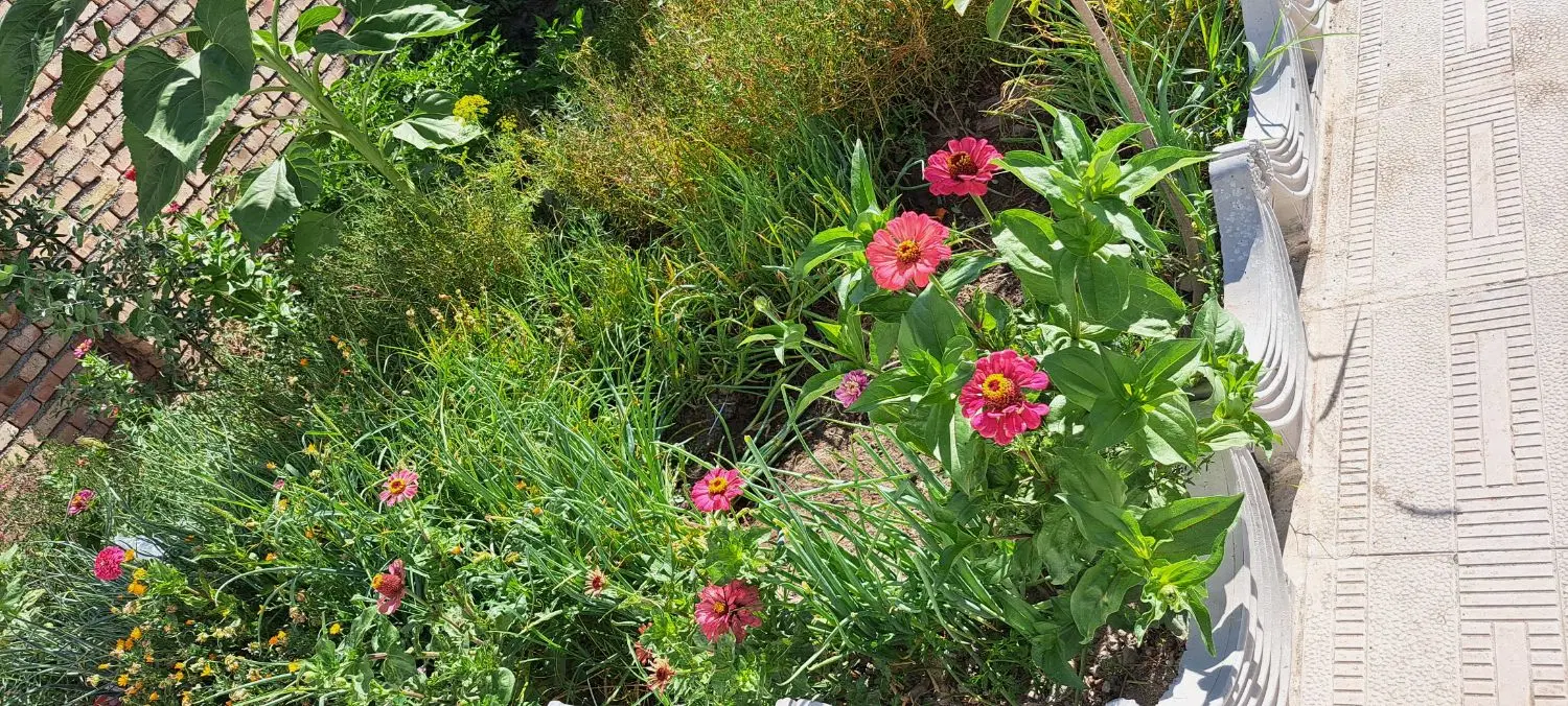 خونه ویلایی