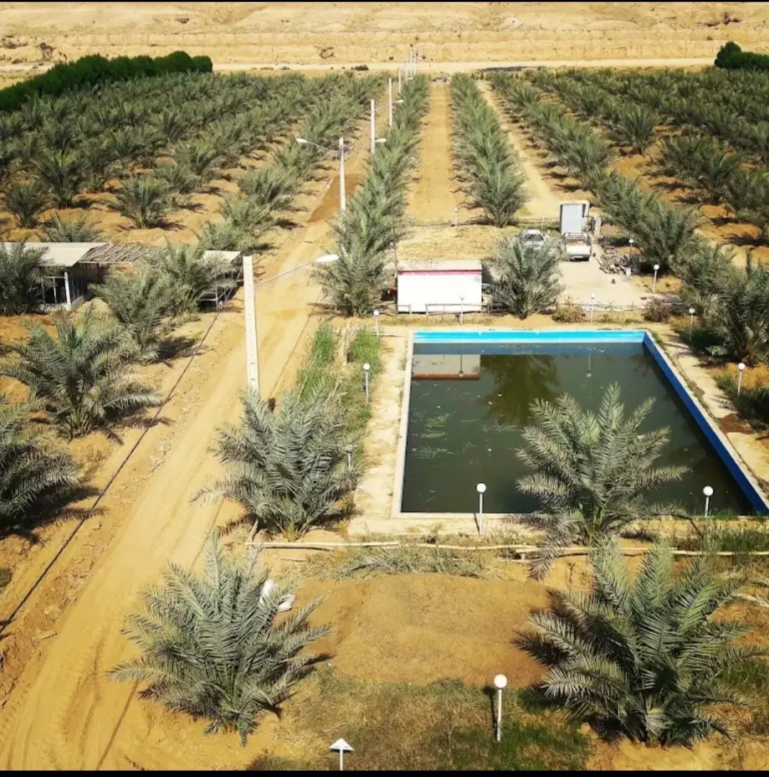 زمین