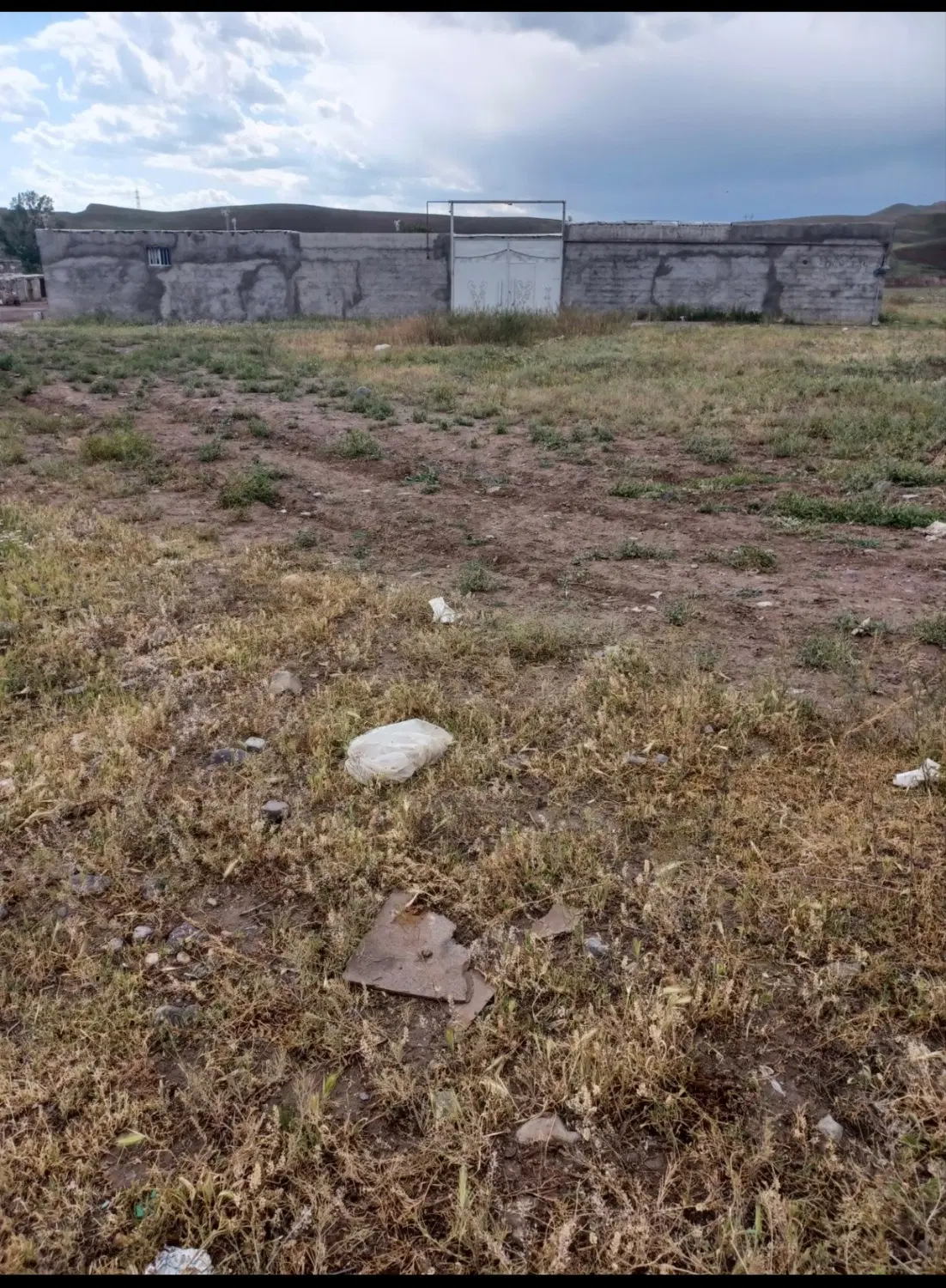 زمین پنبه ای