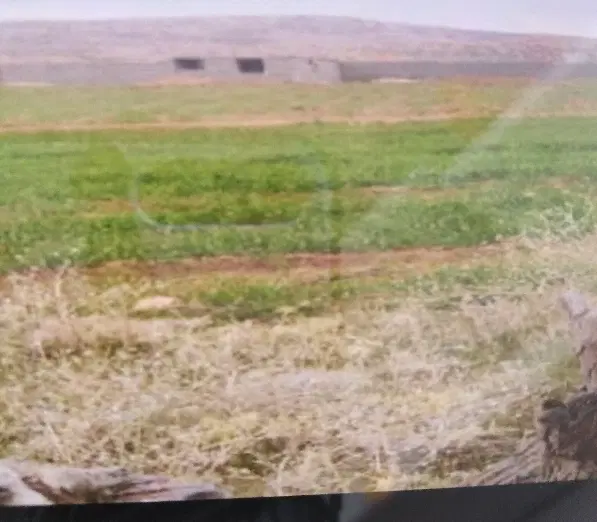 فروش زمین سرخون محمد صالحی