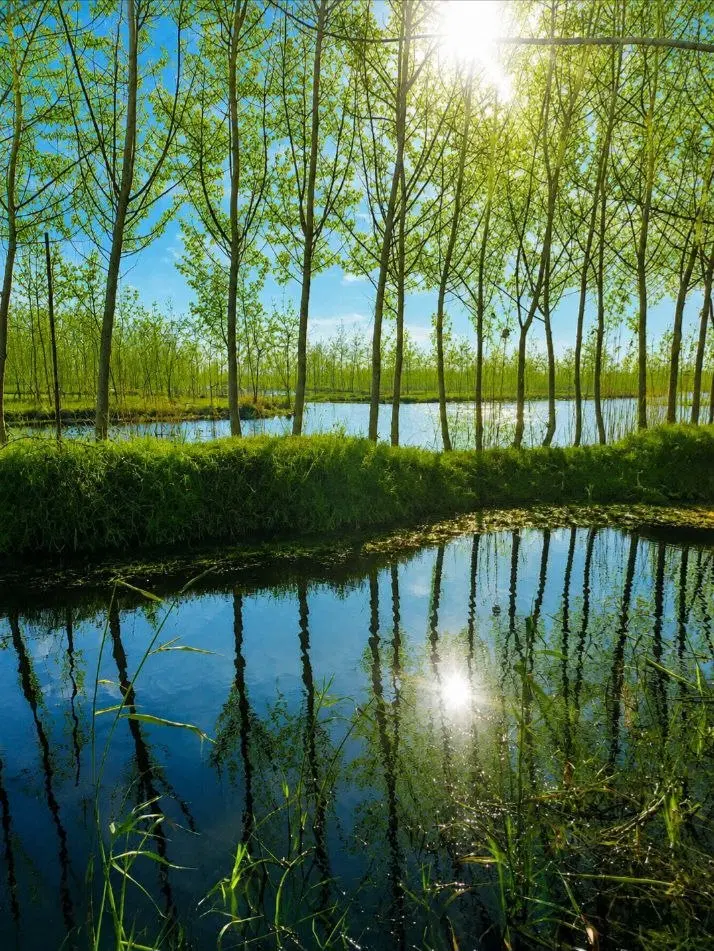 سهمی از آینده ای پر سود