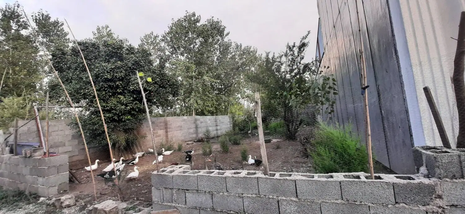 زمین مسکونی سندار