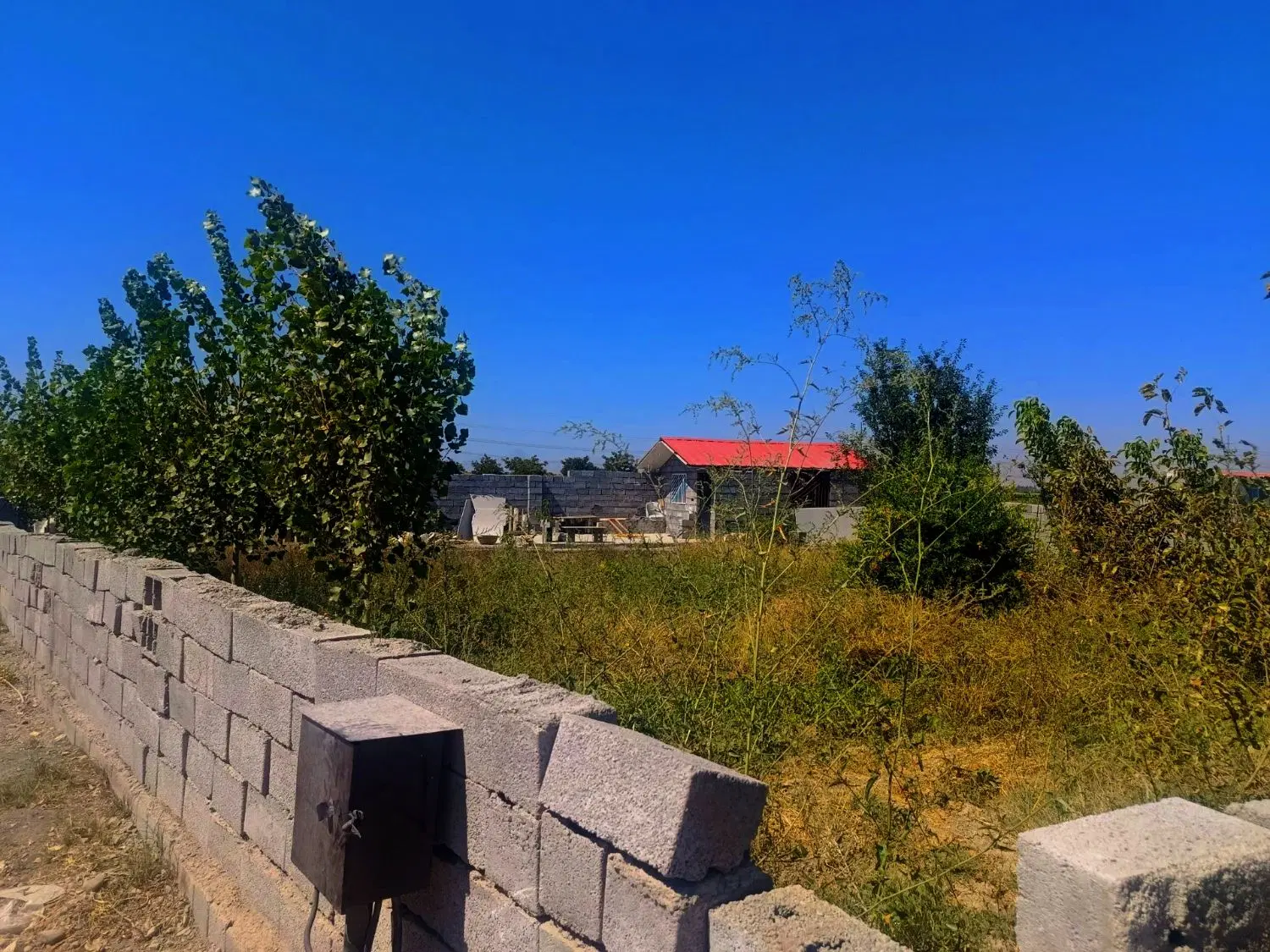 باغچه الوان راه اصلی به متراژ ۶۰۰