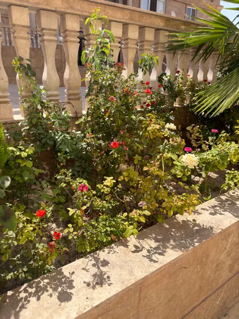 رهن کامل
