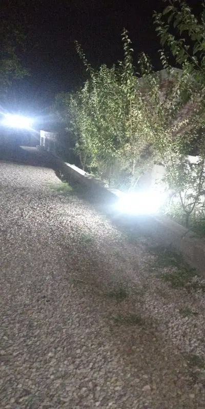 اجاره زمین مزروعی